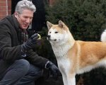 Hachiko - Il tuo migliore amico: la storia vera che ha ispirato il film