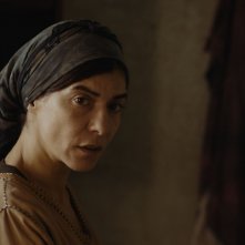 Adam: Lubna Azabal in una foto