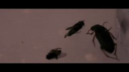 I Giorni Bianchi  -  Trailer