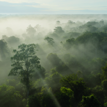Superare i limiti: la scienza del nostro pianeta, una sequenza del film