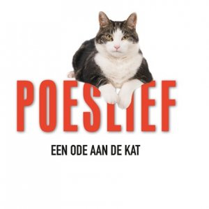 Locandina di Kitty Love: Evviva i gatti!