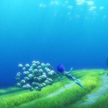 Luca: un'immagine di Contadino di Mare