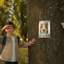 Lassie torna a casa: un momento del film