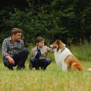 Lassie torna a casa: un'immagine del film