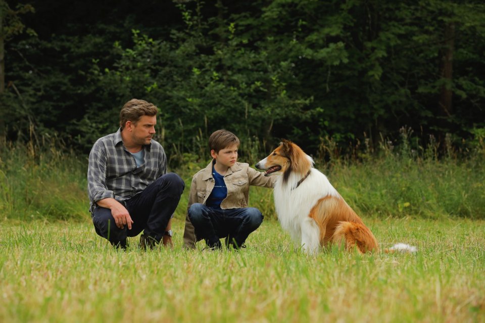 Lassie Torna A Casa 4