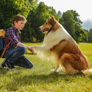 Lassie torna a casa: una scena