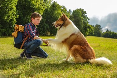 Lassie Torna A Casa 6