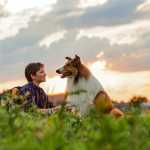 Lassie torna a casa: una scena del film