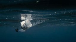 Now - Trailer Italiano