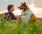 Lassie torna a casa, clip esclusiva del nuovo film con il cane più famoso del cinema