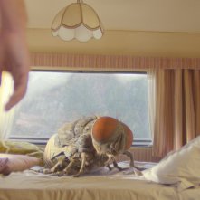 Mandibules - Due uomini e una mosca: una scena del film