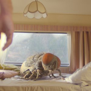 Mandibules - Due uomini e una mosca: una scena del film