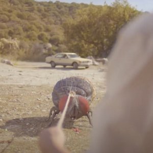 Mandibules - Due uomini e una mosca: una foto del film