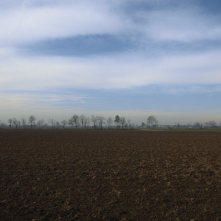 Kufid: un momento del film