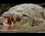Paura primordiale: la storia vera che ha ispirato il film