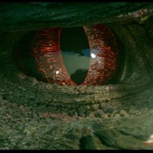 Monster Hunter: l'occhio di uno dei mostri del film