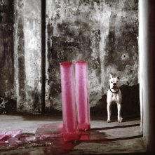 La rivoluzione siamo noi: una sequenza