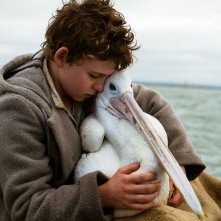Storm Boy - Il ragazzo che sapeva volare: Finn Little in un'immagine