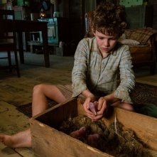 Storm Boy - Il ragazzo che sapeva volare: Finn Little in una sequenza