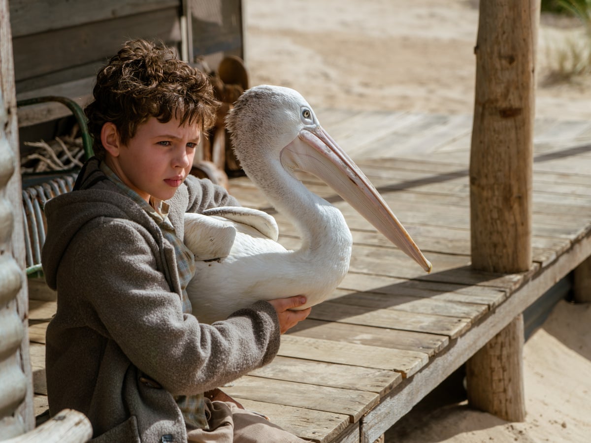Storm Boy Il ragazzo che sapeva volare, la recensione Movieplayer.it Storm Boy Il ragazzo che sapeva volare, la recensione Movieplayer.it