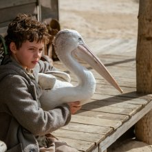Storm Boy - Il ragazzo che sapeva volare: Finn Little durante una scena del film