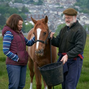 Dream Horse: una scena del film con Toni Collette