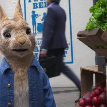 Peter Rabbit 2 - Un Birbante in fuga: una foto del film