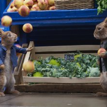 Peter Rabbit 2 - Un Birbante in fuga: un'immagine