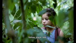 Prayers For The Stolen - Trailer