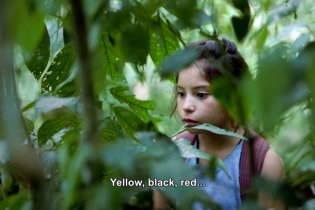 Prayers For The Stolen - Trailer