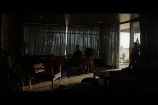 Penguin Bloom - Trailer Italiano