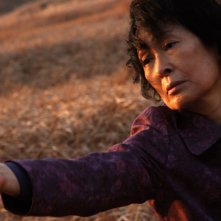 Madre: Kim Hye-ja in un'immagine