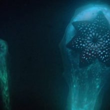 Sea Fever - Contagio in alto mare: una scena del film