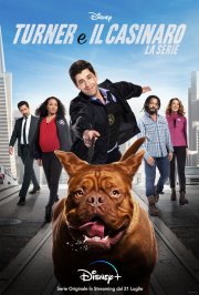 Locandina di Turner e il Casinaro