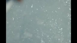 Nadia, Butterfly - Trailer