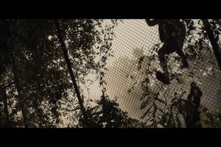 Don’t Breathe 2 - Trailer