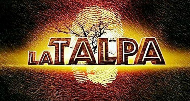 Su Che Canale Fanno Battiti Live 2022
