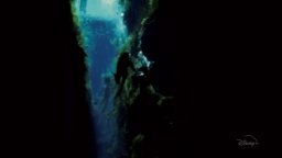 L'amica degli squali - Trailer Italiano