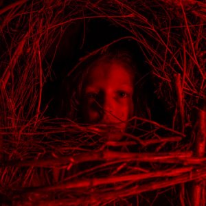 A Classic Horror Story: una sequenza del film