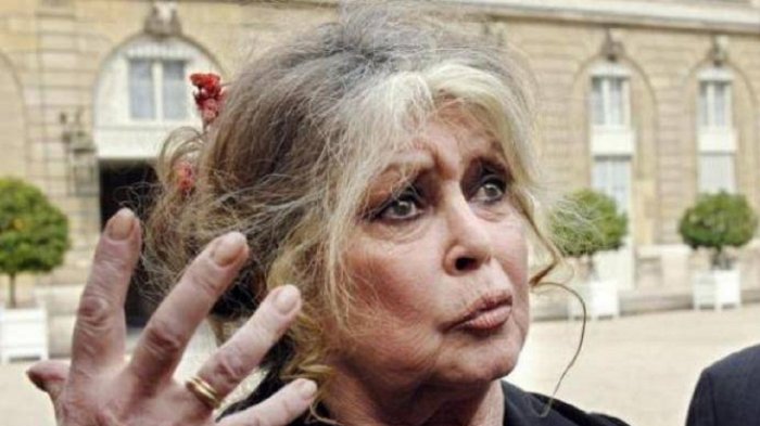 Brigitte Bardot: "I cacciatori sono i terroristi della natura", l'attrice condannata in Francia