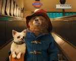 Paddington 3: le riprese inizieranno nel 2022