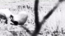 Top Secret UFO Projects: Declassified - Trailer