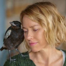 Penguin Bloom: Naomi Watts in un primo piano