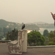 Penguin Bloom: un momento del film