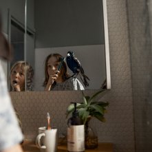 Penguin Bloom: una sequenza del film