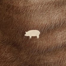 Locandina di Pig