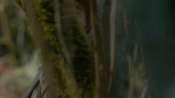 First Cow - Clip 'Saw A Cow Today'