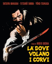 Locandina di Là dove volano i corvi