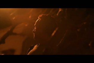 Penguin Bloom - Clip 2