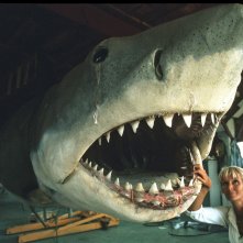 L'amica degli squali: una scena